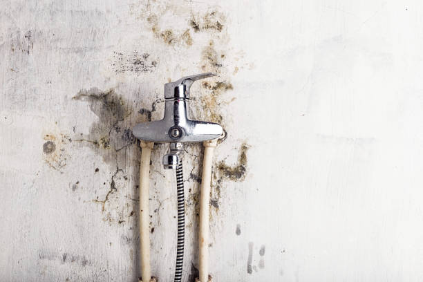 Best HVAC Mold Remediation in Grandview, MO