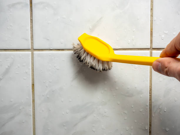 Grandview, MO Mold Remediation Company